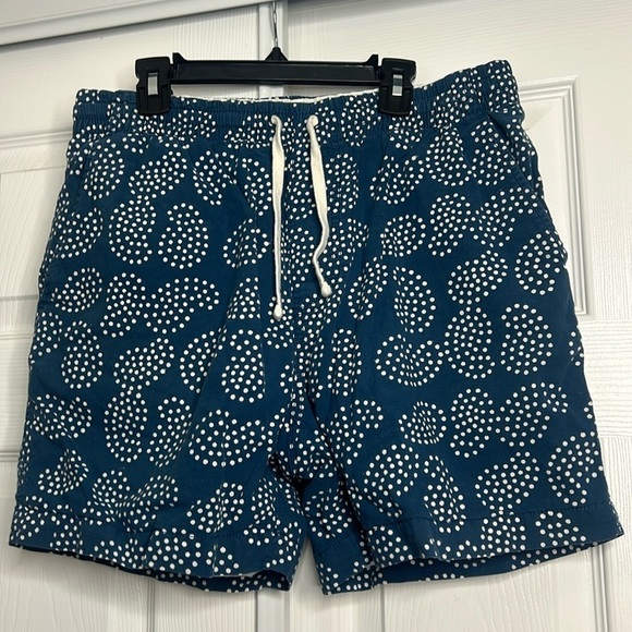 J. Crew Factory Other - J Crew Blue White Shorts Mens M